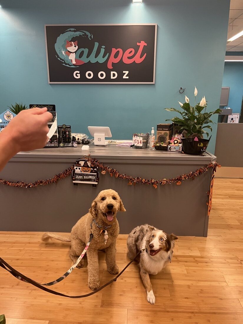 Two dogs at the Cali Pet Goodz counter